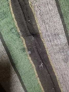 indianbull001 webcam