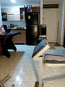 LEIRIS_Y_FRED_01 webcam