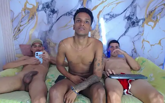 Damian_and_theo webcam