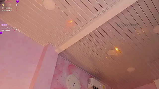 AbbyModel01 webcam