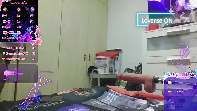 canariamorbosa webcam