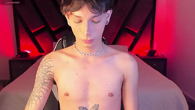 AndyWiilliams webcam