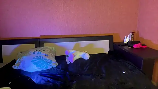 SanoraVillnave webcam