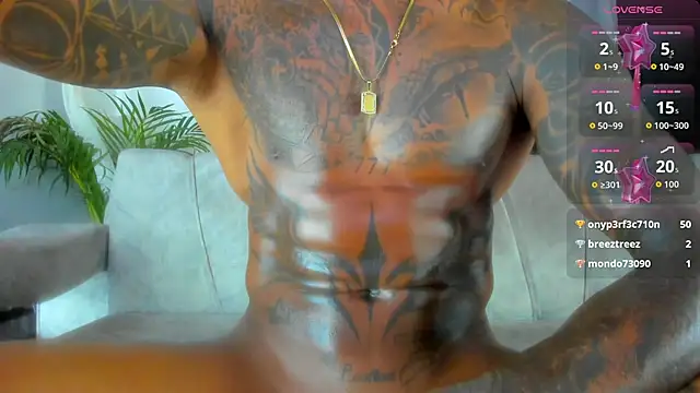 esteveen_ortegas_ webcam