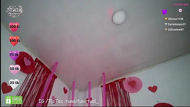 TuWaifuVirtual1 webcam