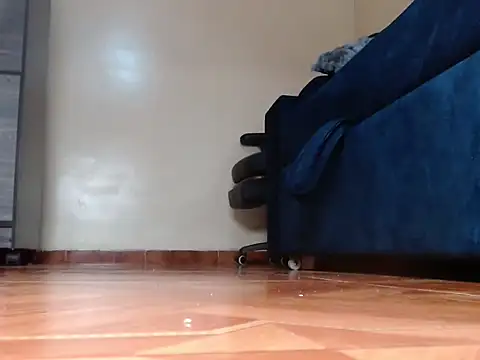 alphaswitchard webcam