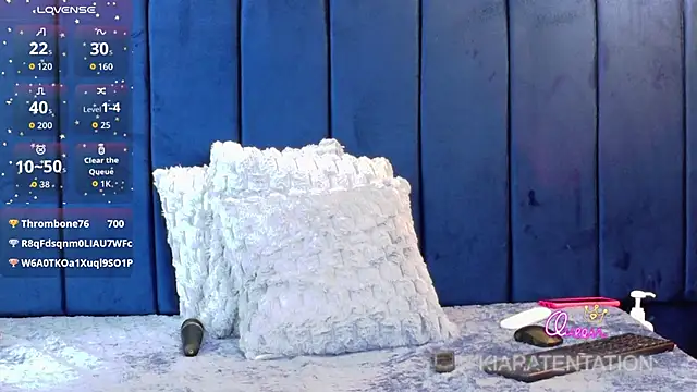 kiaratentation webcam