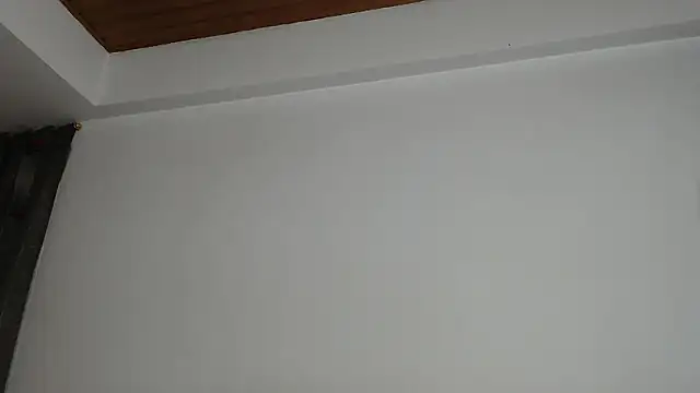 Sharickleon11 webcam