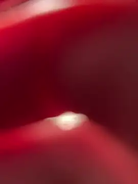 lovecassyrose webcam