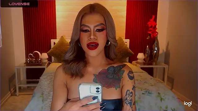 StellaStrong30 webcam