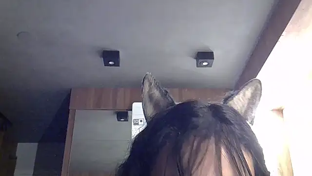 Preview of skinnykitten