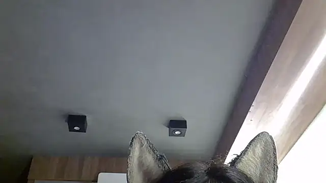 SkinnyKitten webcam