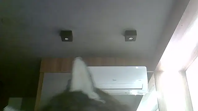 SkinnyKitten webcam