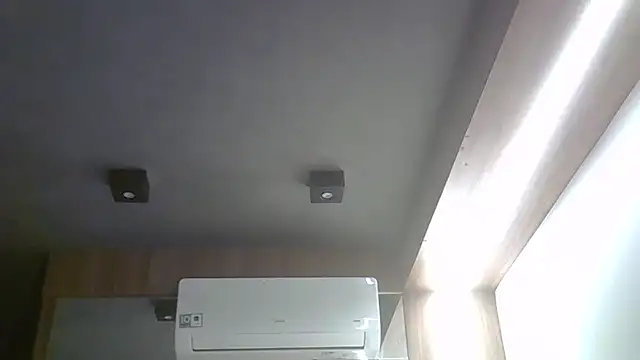 SkinnyKitten webcam