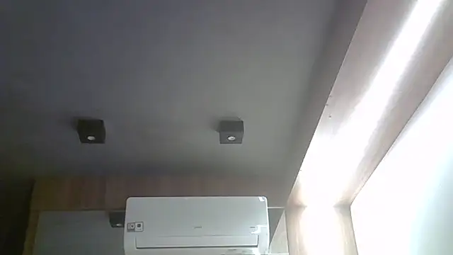 SkinnyKitten webcam