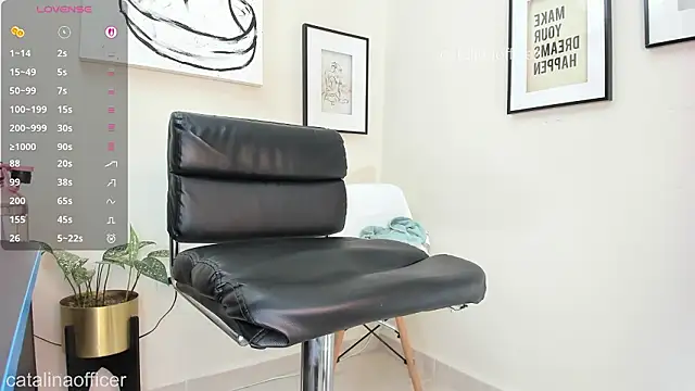 catalinaofficer webcam