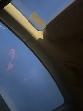 PayForThePaddy webcam