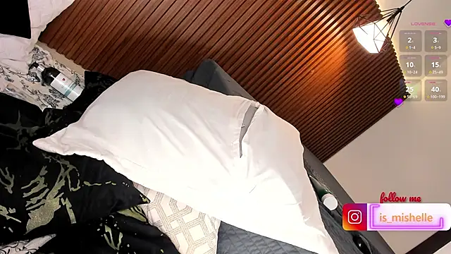 _mishelle webcam