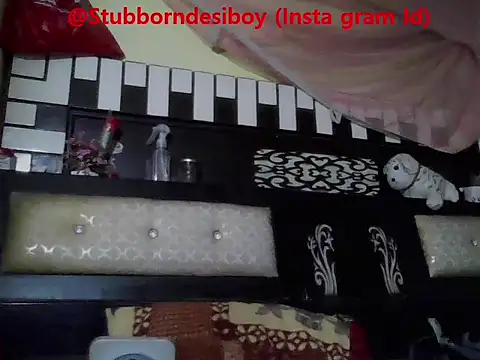 Stubborndesiboy webcam