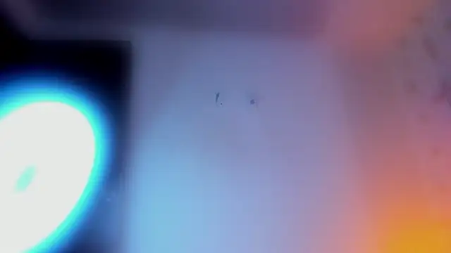 Kitty_Rose_CS webcam