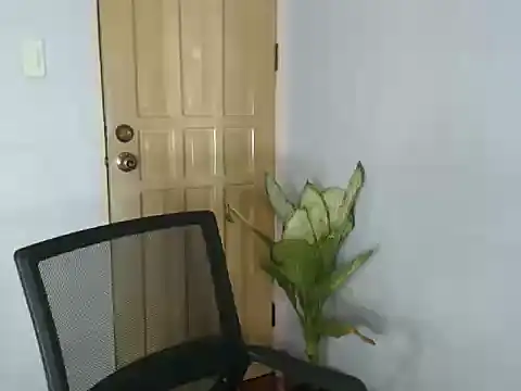 UrAsian_Turjak webcam