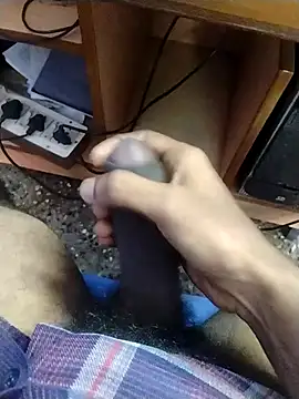 Tamilandteluguboy14 webcam