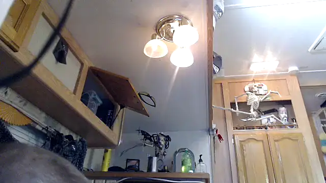 jaimerhett - JaimeRhett's free webcam