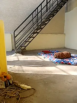 Chocolate_stud10 webcam