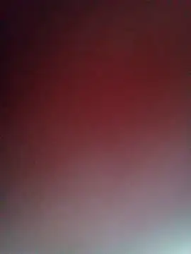 Lucky_couple-1 webcam