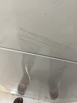 Preto_Diamamte webcam