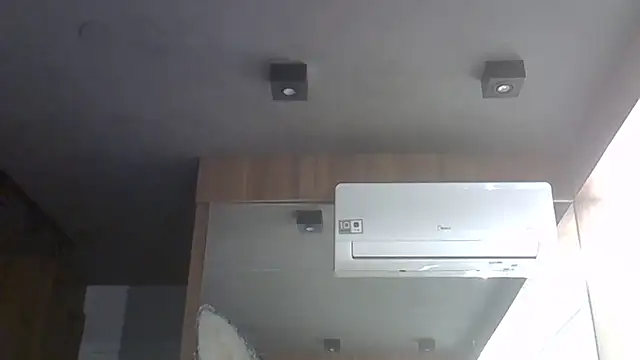 SkinnyKitten webcam