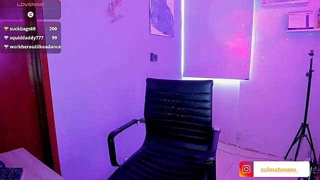 _sulmatevans_ webcam