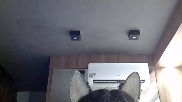 SkinnyKitten webcam