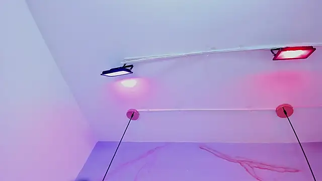 Ibbie_drastic webcam