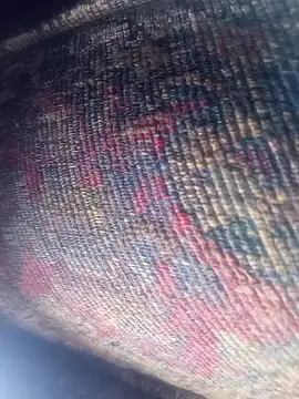 cushington (M young) - #anal #anal-toys #big-balls #big-cocks #bisexuals #blowjob #brunettes #cam2cam #cheap-privates #deepthroat #dildo-or-vibrator #double-penetration #ejaculation #fingering #fisting #gape #hd #massage #masturbation #mobile #orgasm #sex-toys #skinny #small-audience #white #young