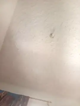 Camila-Valverde webcam