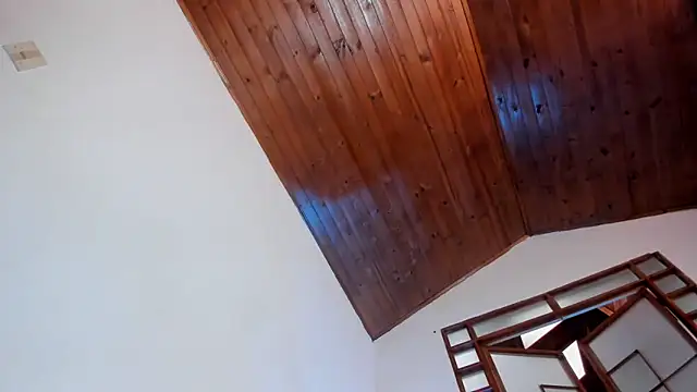 oliver_price1 webcam