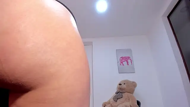 Charlotte_Ice1 webcam