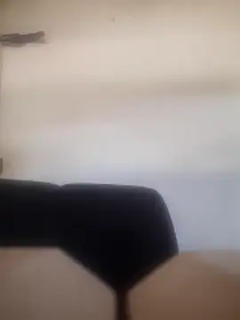 casalpingafogo webcam