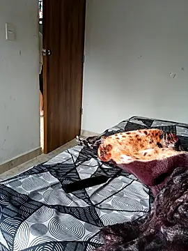 LEIRIS_Y_FRED_01 webcam