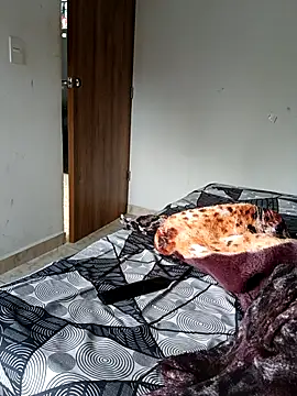 LEIRIS_Y_FRED_01 webcam