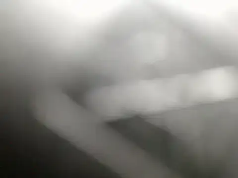 Tamira_Wilson1 webcam