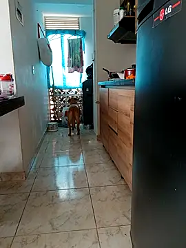 LEIRIS_Y_FRED_01 webcam