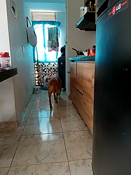 Preview of leiris_y_fred_01