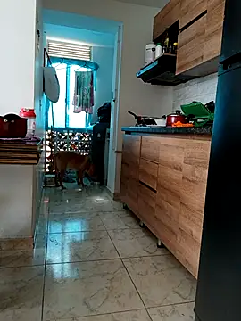 LEIRIS_Y_FRED_01 webcam