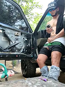 Preview of pighighdirty_p0