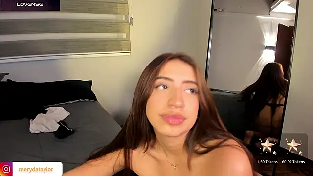 MERIDA_TAYLOR webcam