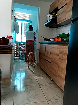 LEIRIS_Y_FRED_01 webcam