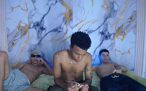 Damian_and_theo webcam