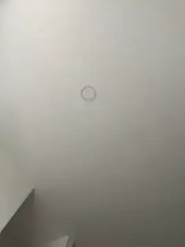 dominantandsubmissiveshow webcam